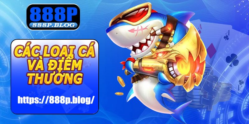 Các loại cá và điểm thưởng trong bắn cá 888P