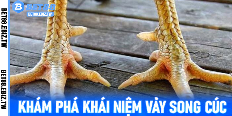 Khám phá khái niệm Vảy song cúc – Điều gì khiến người chơi gà quan tâm